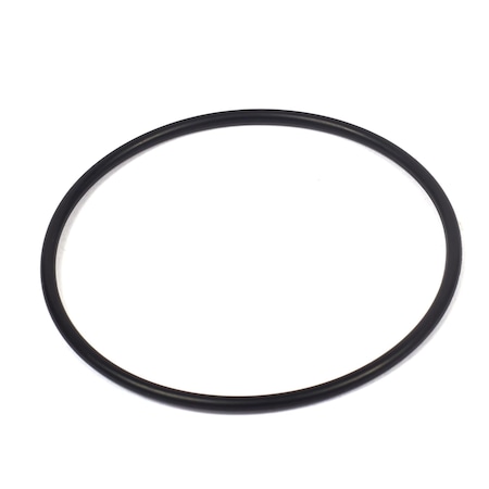 Briggs & Stratton SEAL-O RING 806466